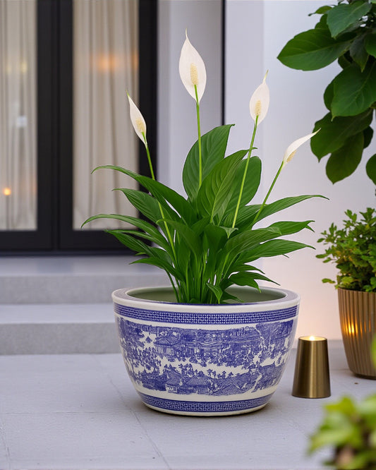 Oriental Serenity Blue & White Ceramic Planter