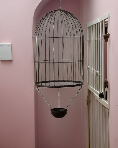 Decorative Hanging Cage Planter - Large